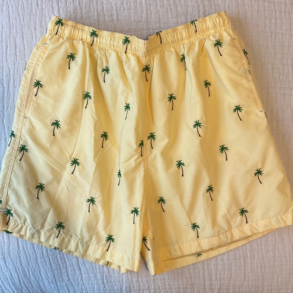 Cremieux men’s swim trunks